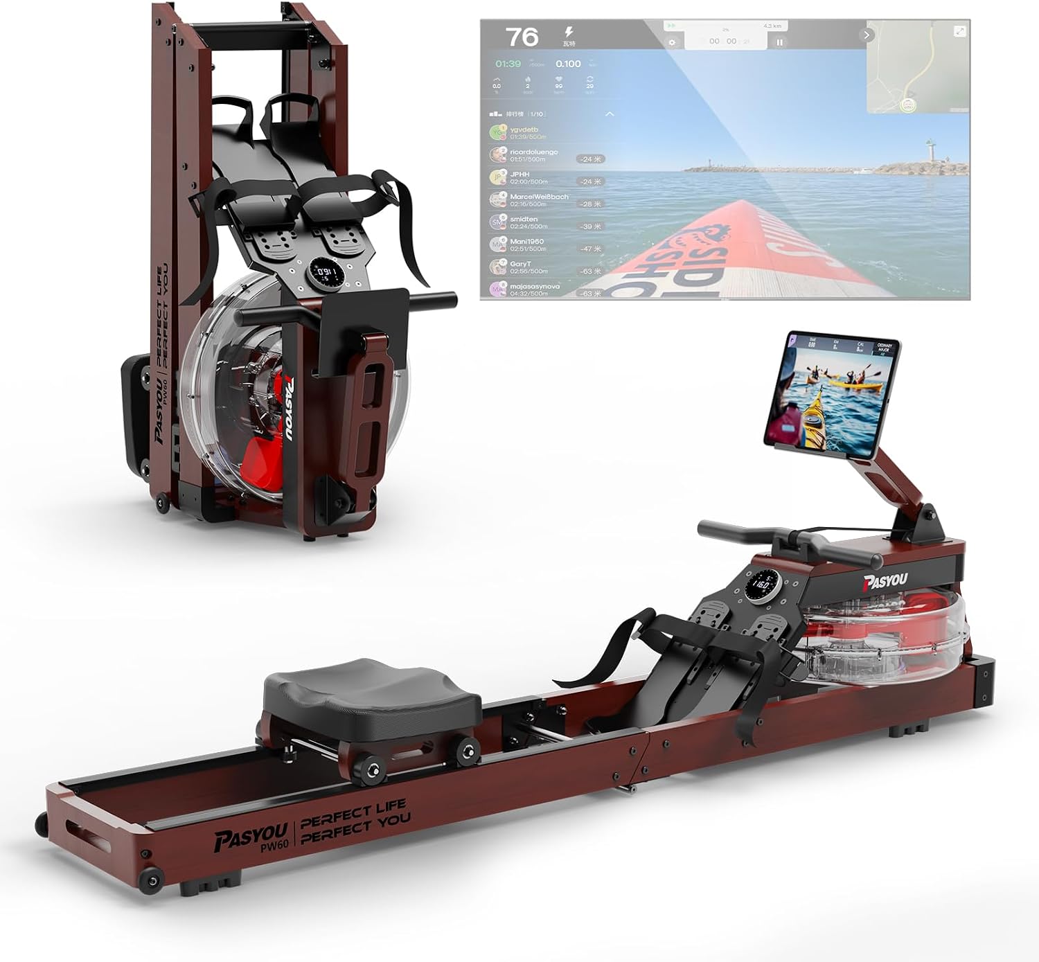 PASYOU Vogatore per casa in quercia, 150 kg vogatore ad acqua pieghevole con display Bluetooth e 30 giorni di abbonamento cinematografico gratuito, vogatore con supporto per tablet regolabile PW60